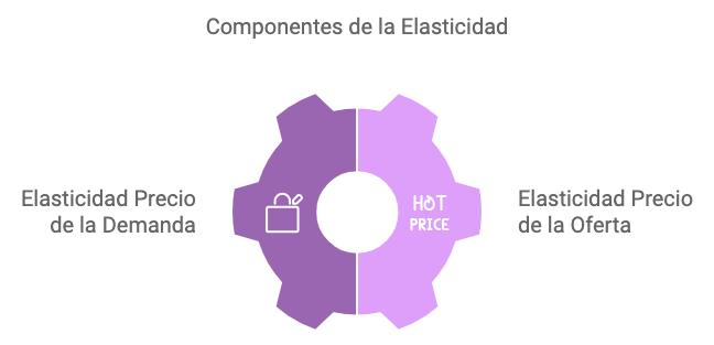 Conceptos basicos economia